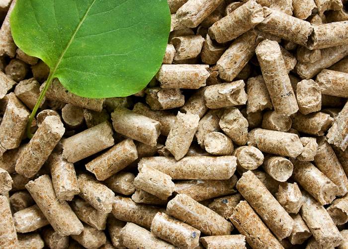 granules-bois